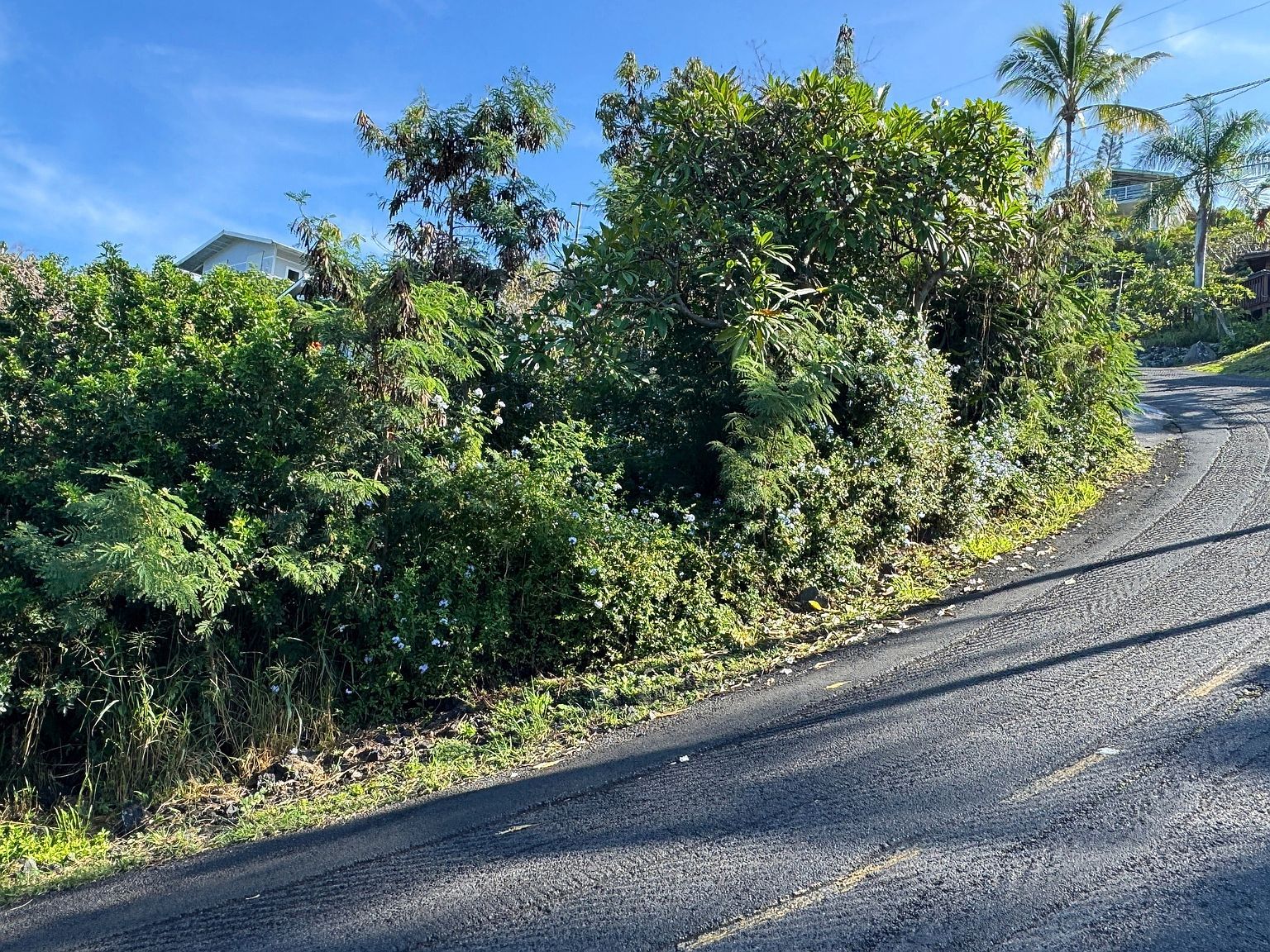 87-435 Kaohe Rd Captain Cook, HI 96704 - Thumbnail 5