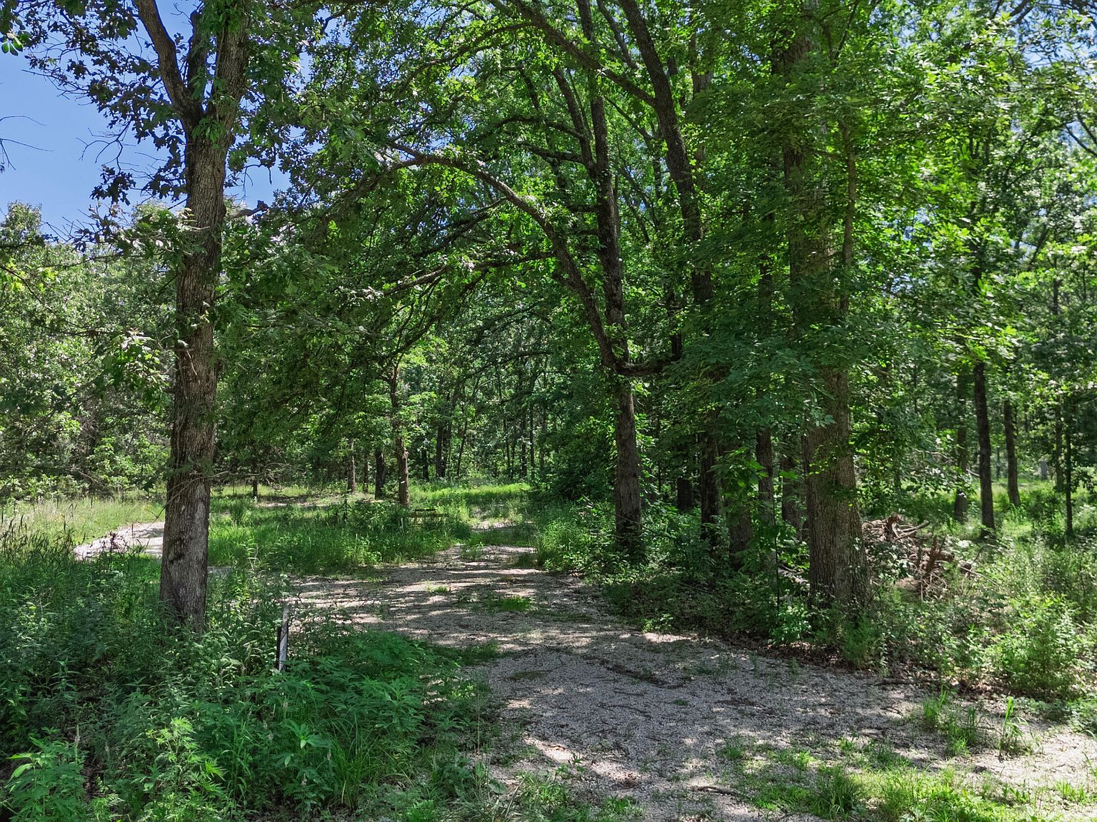 20476 E 1700th Rd Fair Play, MO 65649 - Thumbnail 5