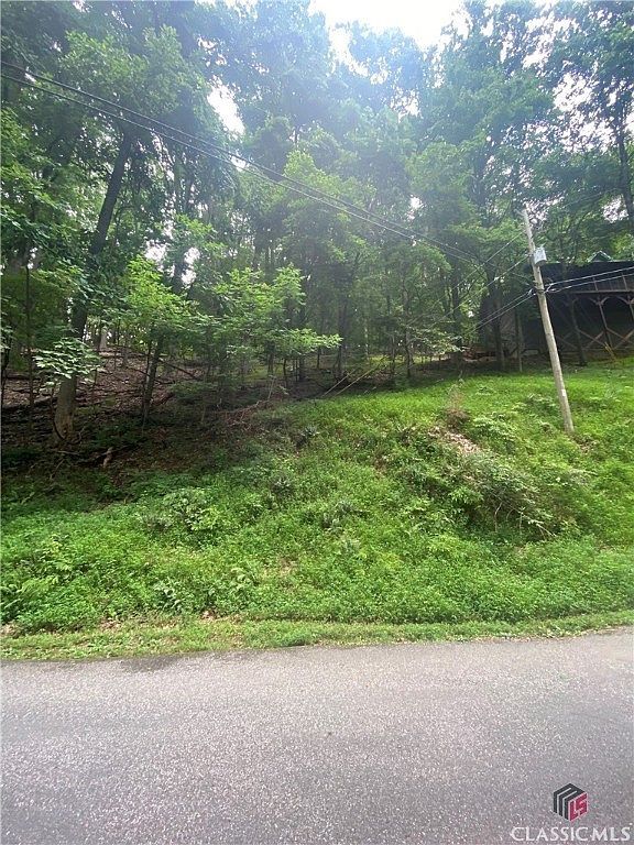 0 Skyview Dr Ellijay, GA 30536 - Thumbnail 5