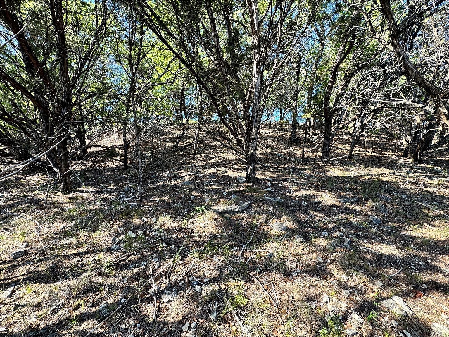 7921 Folklore Cir Leander, TX 78645 - Thumbnail 5