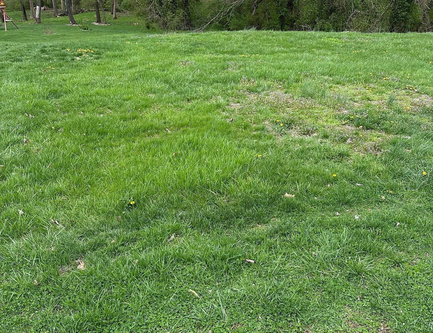 914 Woods Run Rd Bardstown, KY 40004 - Thumbnail 5