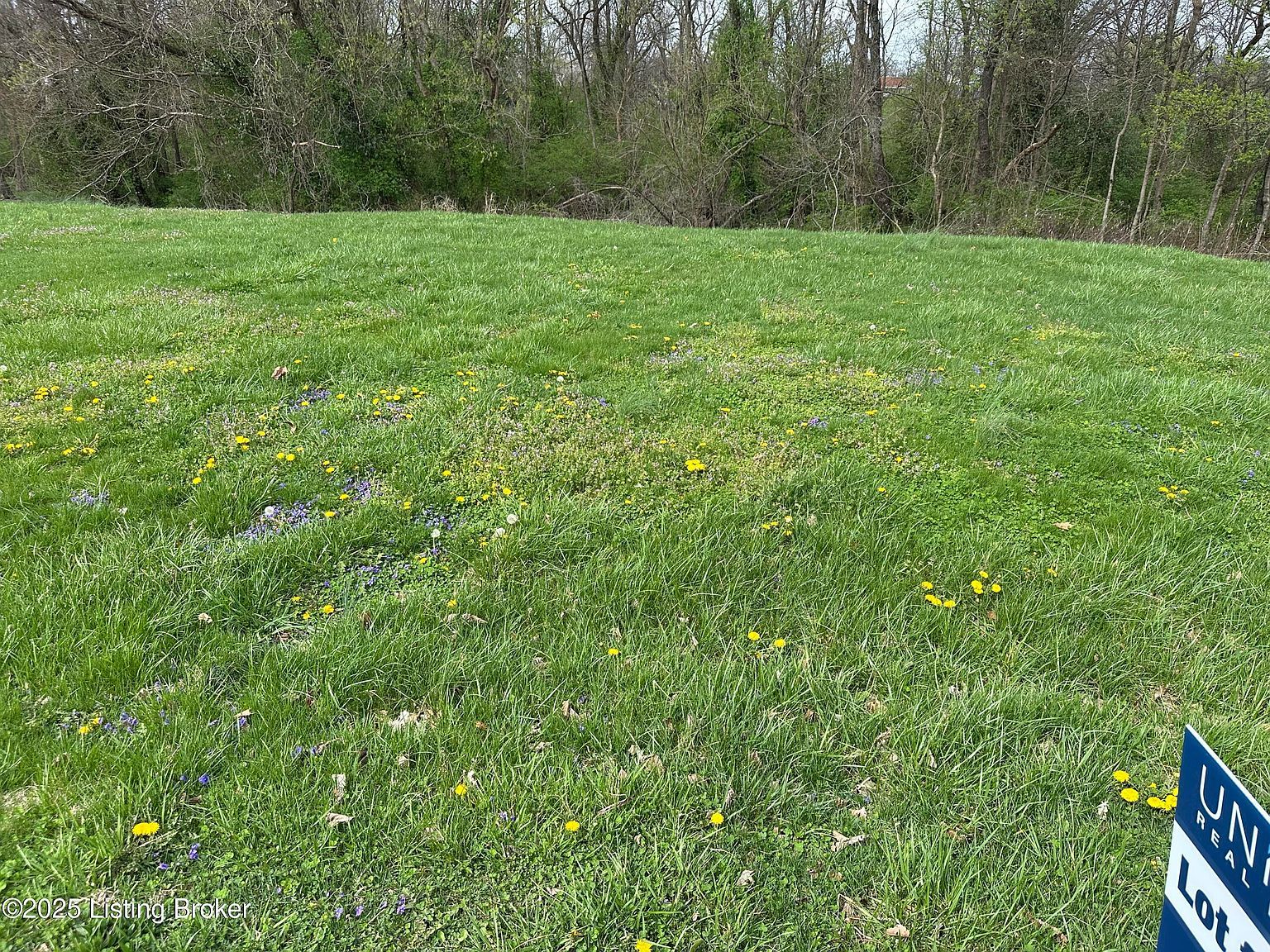 916 Woods Run Rd Bardstown, KY 40004 - Thumbnail 5