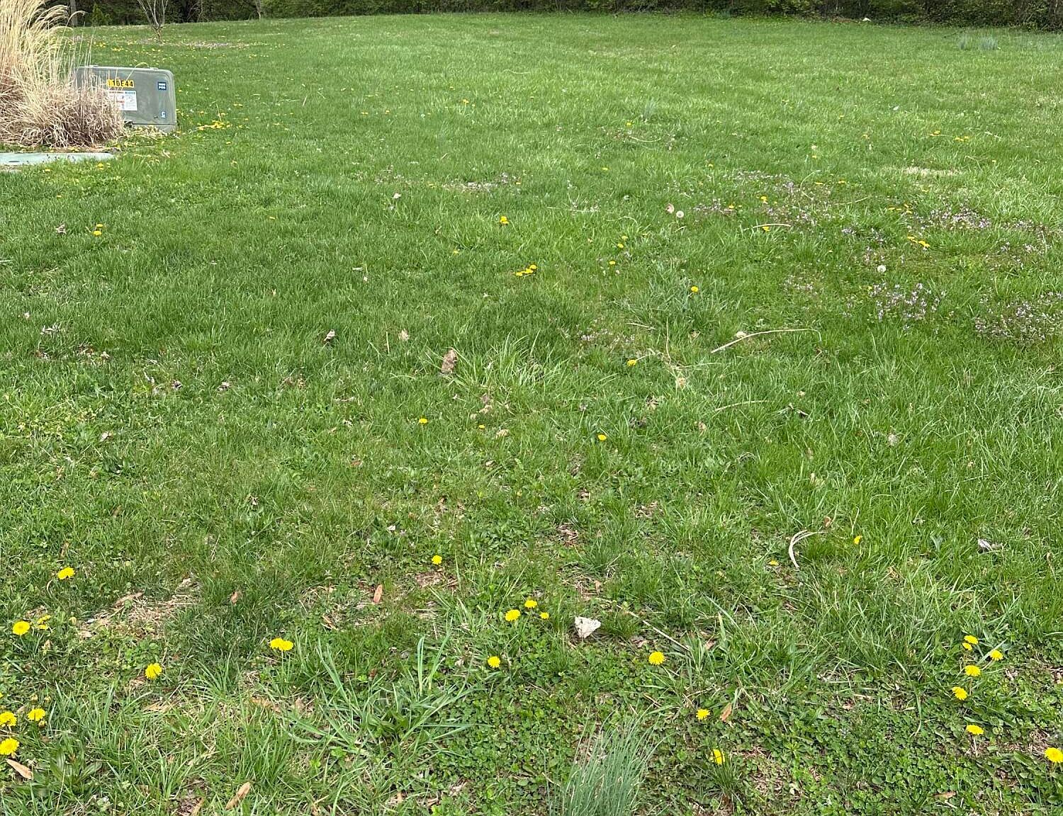 926 Woods Run Rd, Bardstown, KY, 40004 - Thumbnail 5