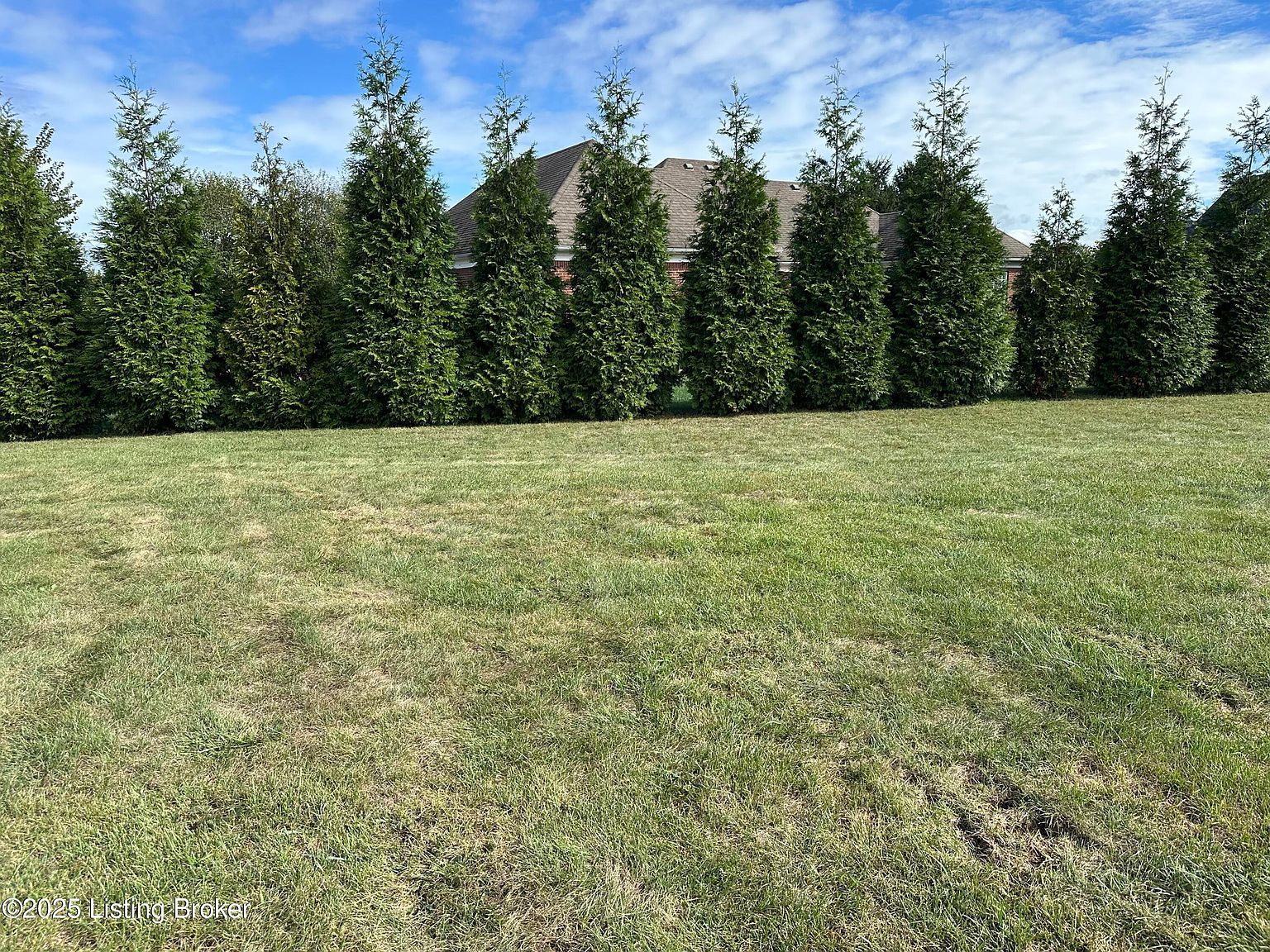 135 Maywood Ave Bardstown, KY 40004 - Thumbnail 5