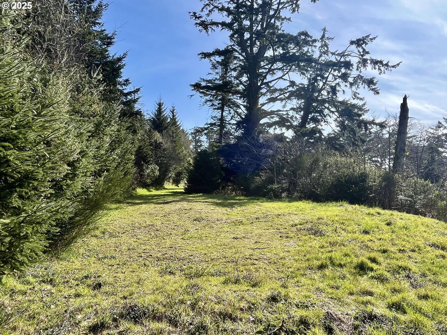 95040 Pacific Vista Dr LOT 1 Gold Beach, OR 97444 - Thumbnail 5