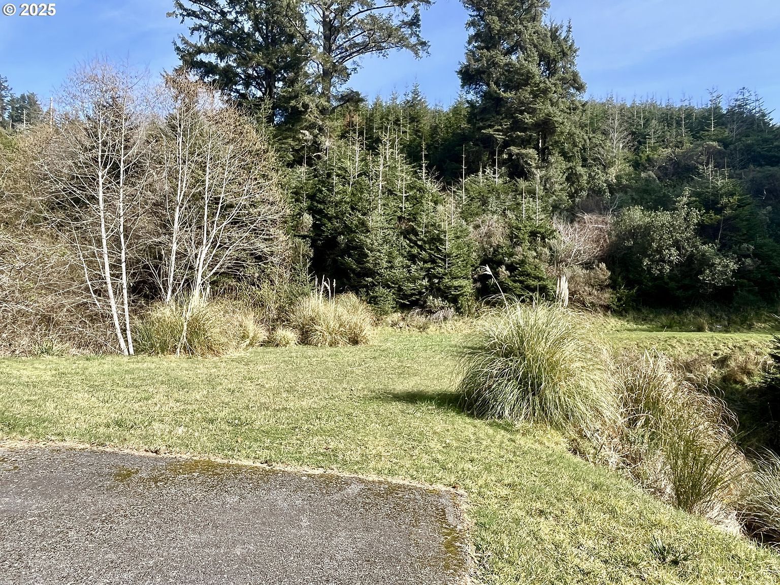 95015 Pacific Vista Dr #5 Gold Beach, OR 97444 - Thumbnail 5