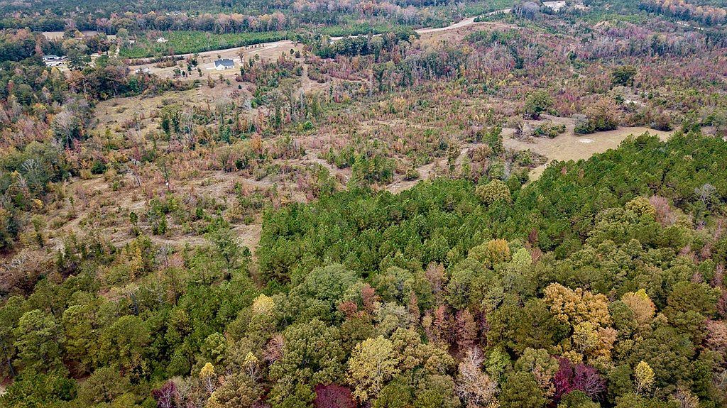 0 Battle Rd Hurtsboro, AL 36860 - Thumbnail 5