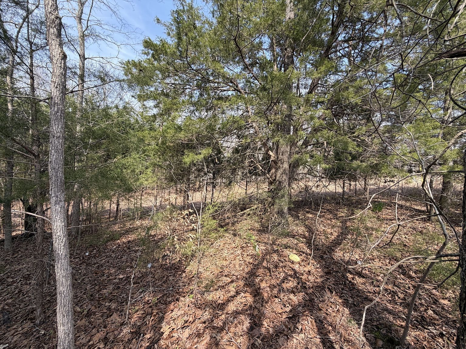 0 Ramery Rd Cumberland City, TN 37050 - Thumbnail 5