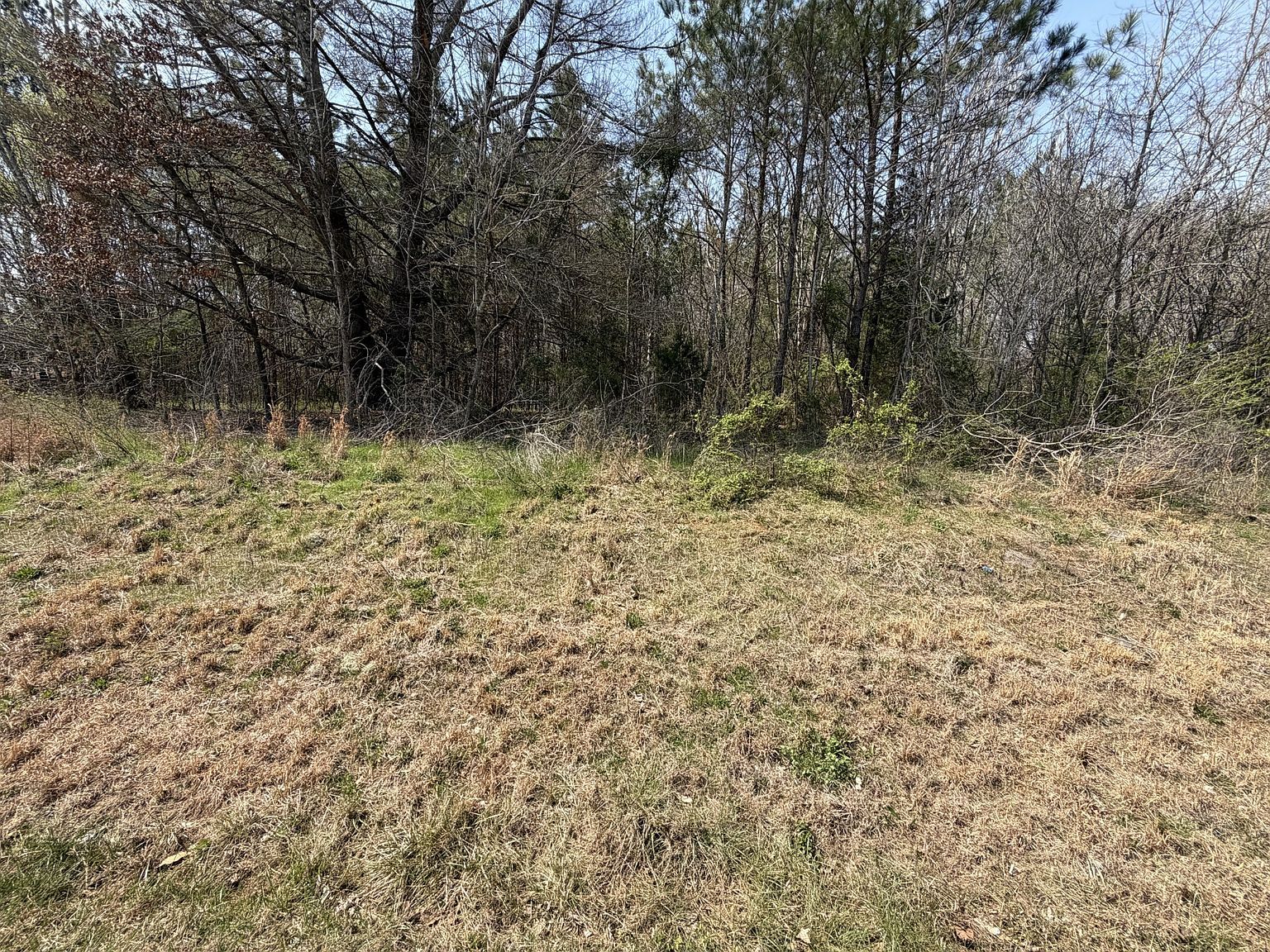5106 Workman Rd Southside, TN 37171 - Thumbnail 5