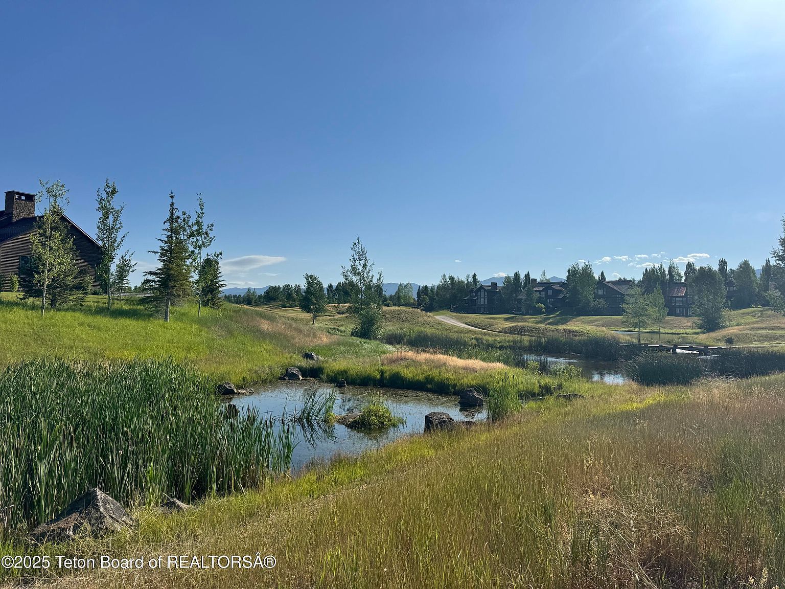 910 Dusty Maiden Ct Driggs, ID 83422 - Thumbnail 5