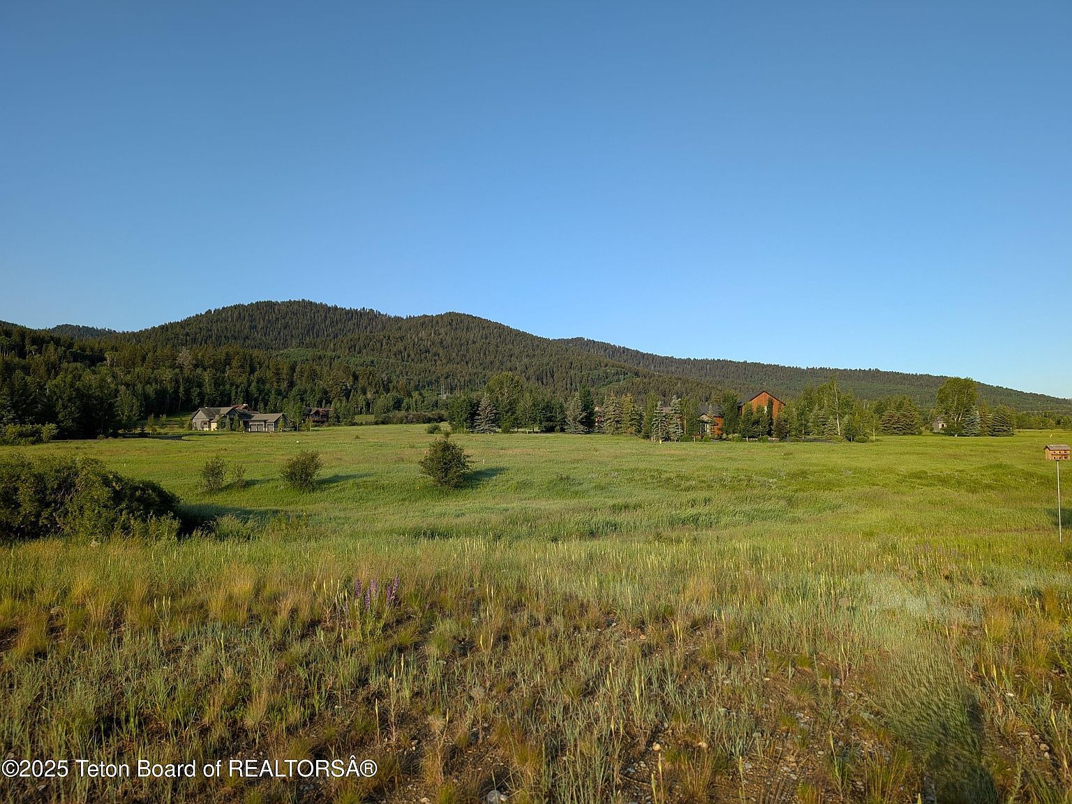 57 Warm Creek Ln Victor, ID 83455 - Thumbnail 5