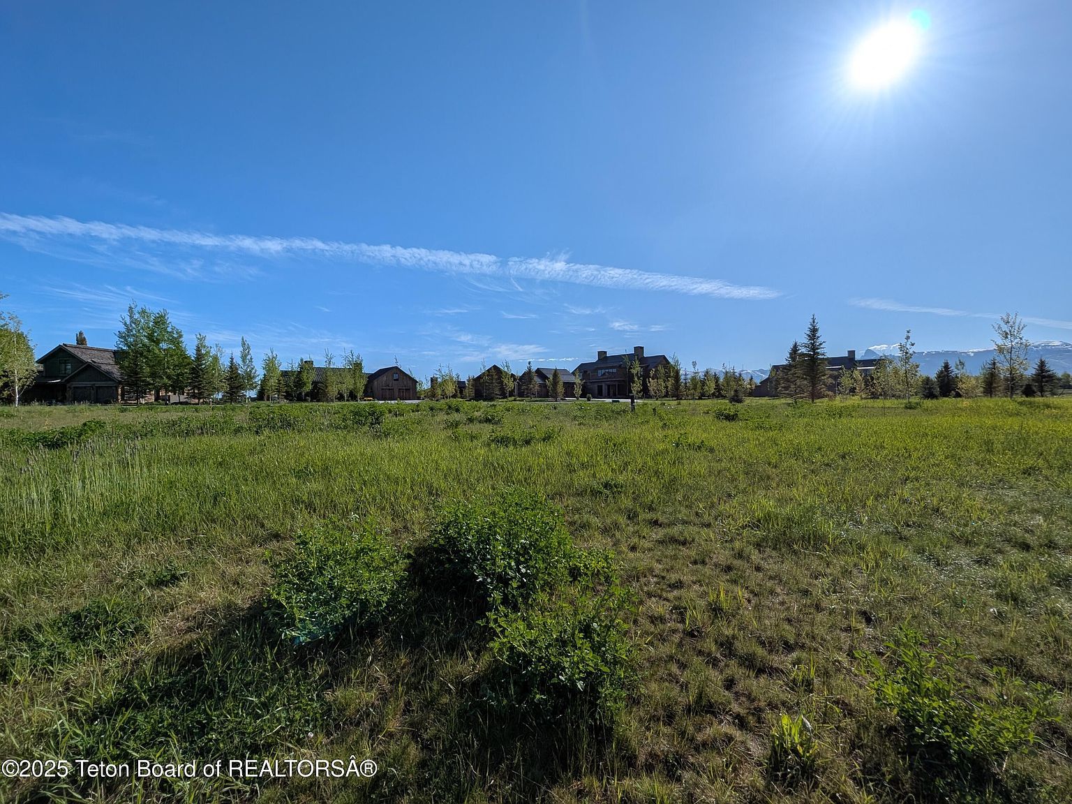 1135 Shasta Daisy Ct Driggs, ID 83422 - Thumbnail 5