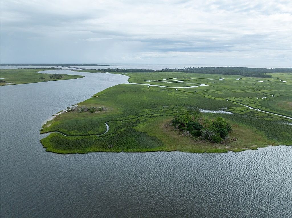 0 Sawpit Rd LOT 1 Jacksonville, FL 32226 - Thumbnail 5