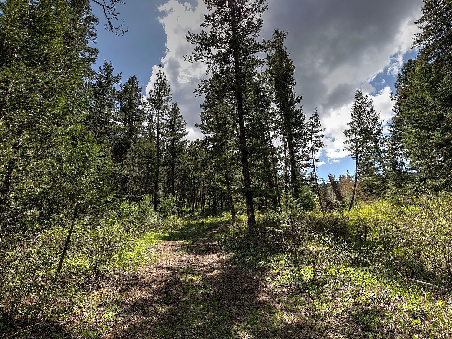 13275 Balsamroot Rd Lolo, MT 59847 - Thumbnail 5