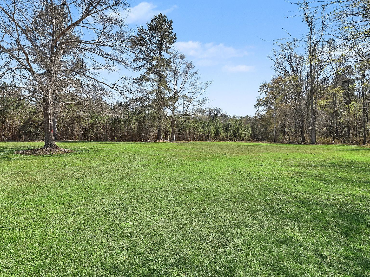 247 Fair Oaks Ct Branchville, SC 29432 - Thumbnail 5