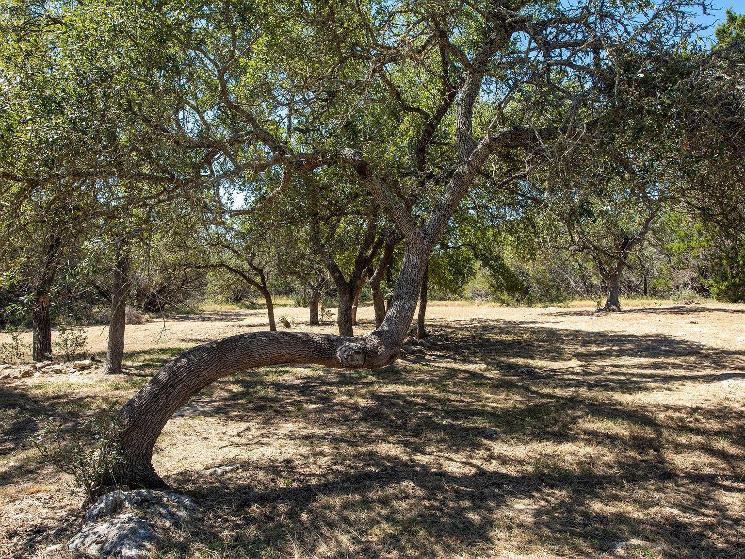 840 Forest View Dr Blanco, TX 78606 - Thumbnail 5