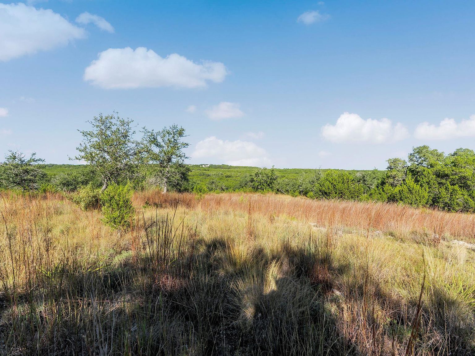 2021 Stagecoach Ranch Rd Dripping Springs, TX 78620 - Thumbnail 5