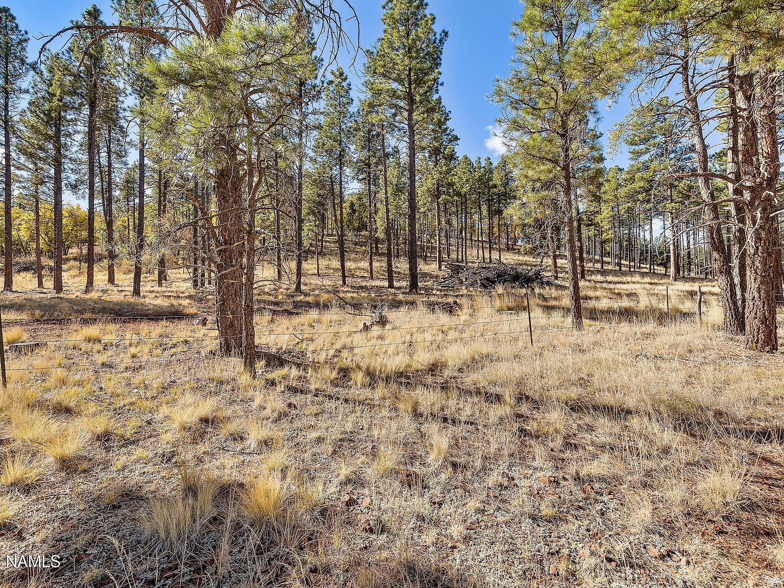 14638 E Keith Dr Parks, AZ 86018 - Thumbnail 5