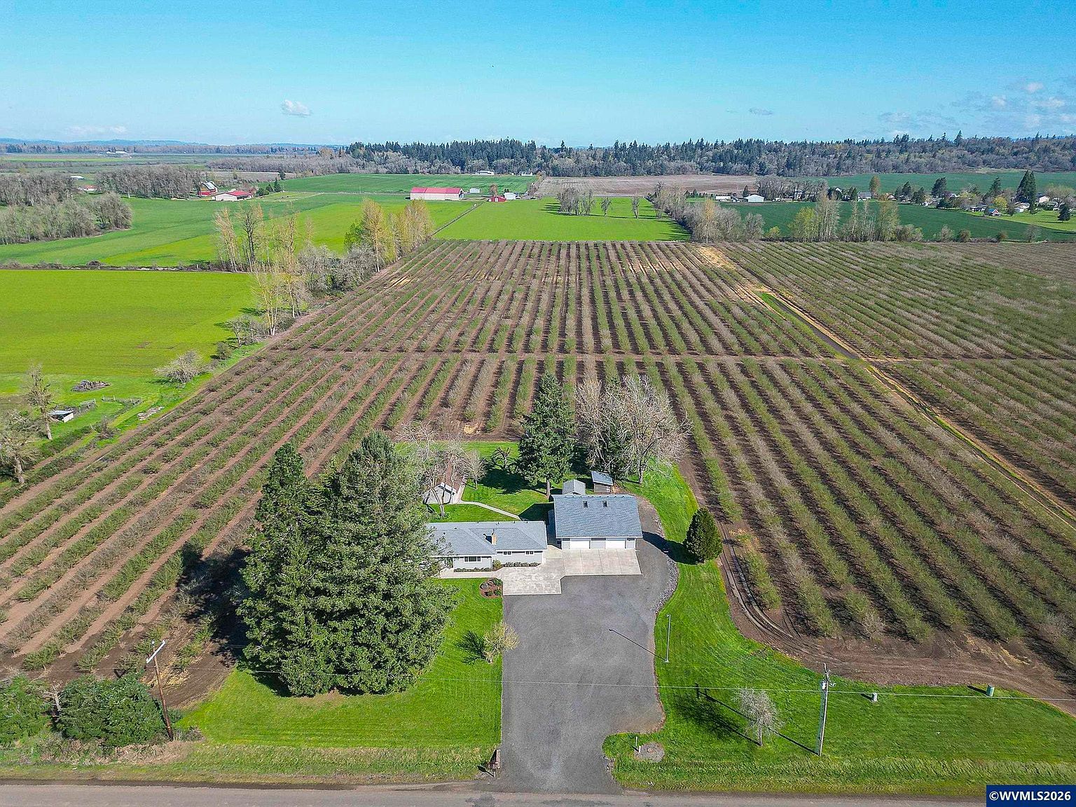38565 Robinson Dr Scio, OR 97374 - Thumbnail 5