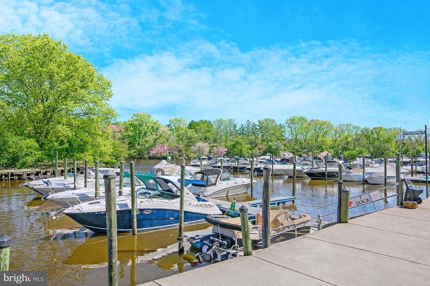 12707 Gordon Blvd APT 47 Woodbridge, VA 22192 - Thumbnail 5