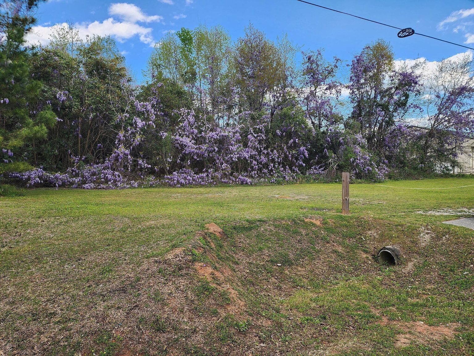 9387 Old Six Hwy Santee, SC 29142 - Thumbnail 5