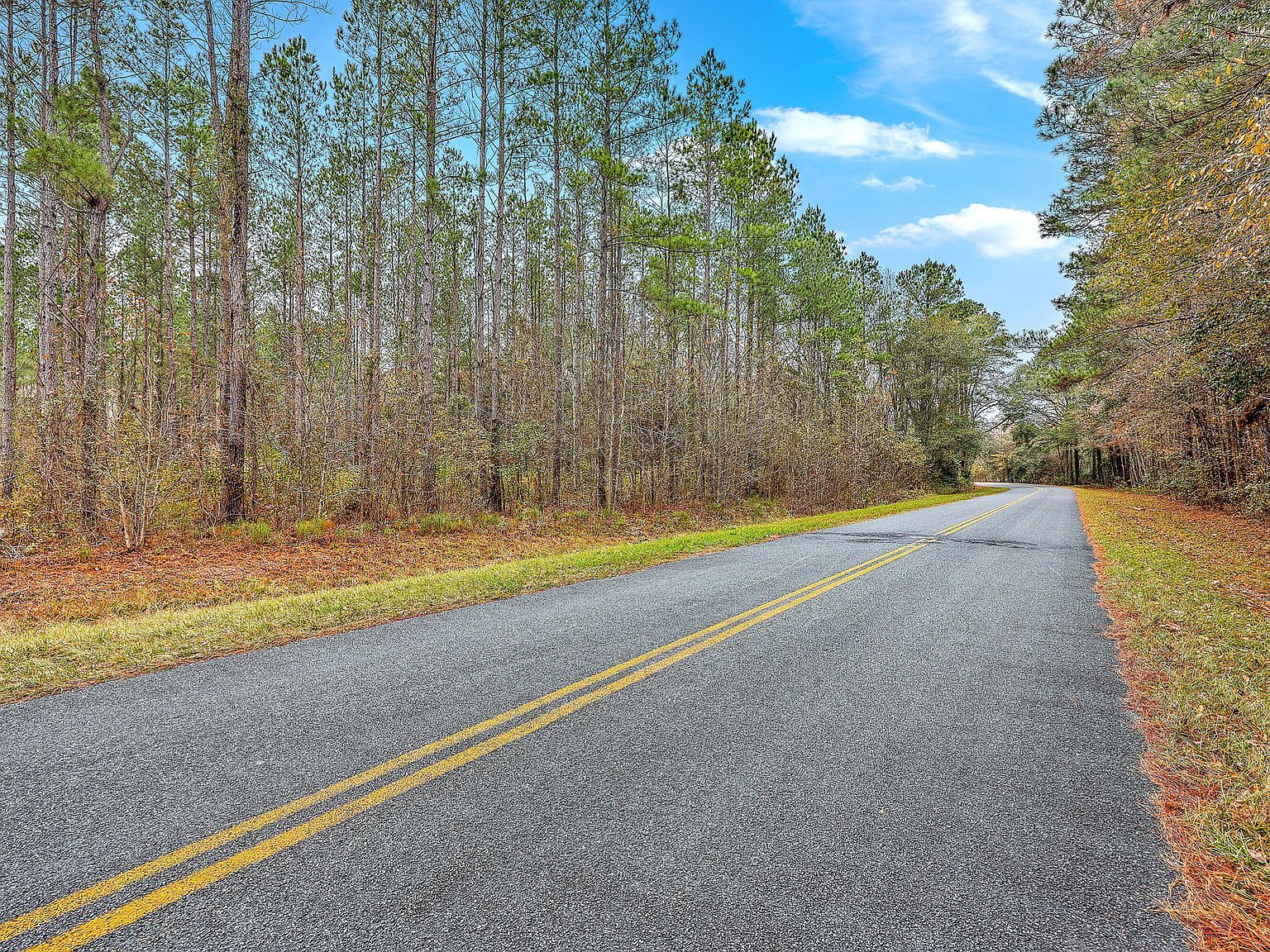 0 Shuler Belt Rd Holly Hill, SC 29059 - Thumbnail 5