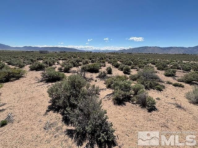 365 Ludwig Ln Smith Valley, NV 89430 - Thumbnail 5