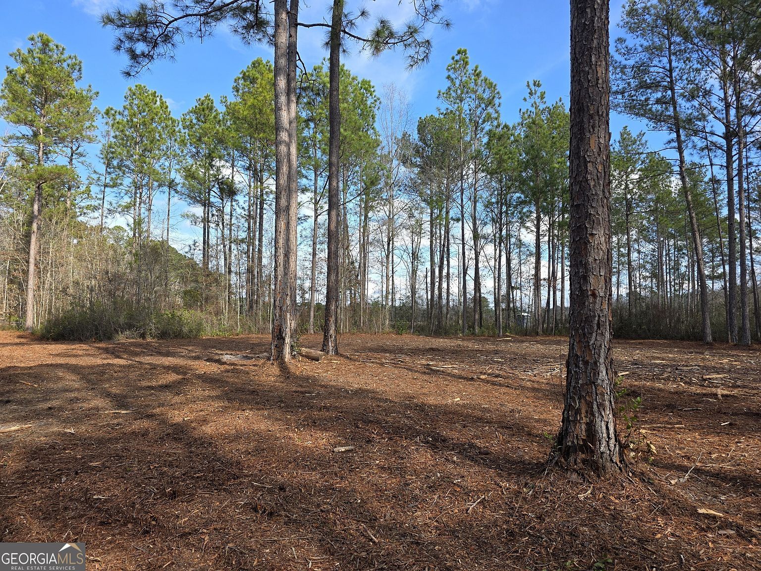 1743 Shawnee Egypt Rd Springfield, GA 31329 - Thumbnail 5