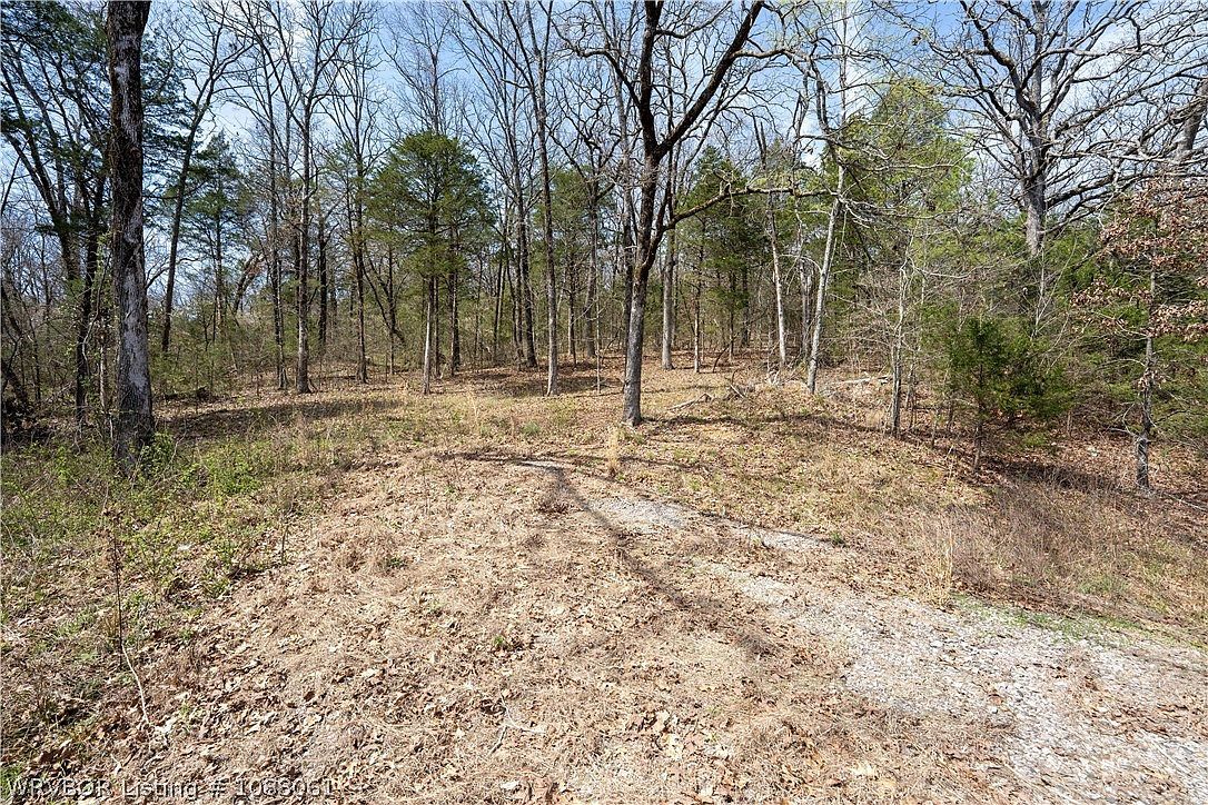 Tbd Uniontown Hwy Uniontown, AR 72955 - Thumbnail 5