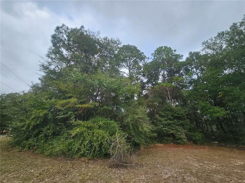 0 State Highway 98 Wilmer, AL 36587 - Thumbnail 5