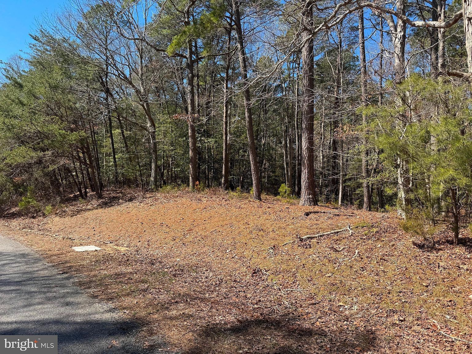 0 Mutiny Dr Greenbackville, VA 23356 - Thumbnail 5