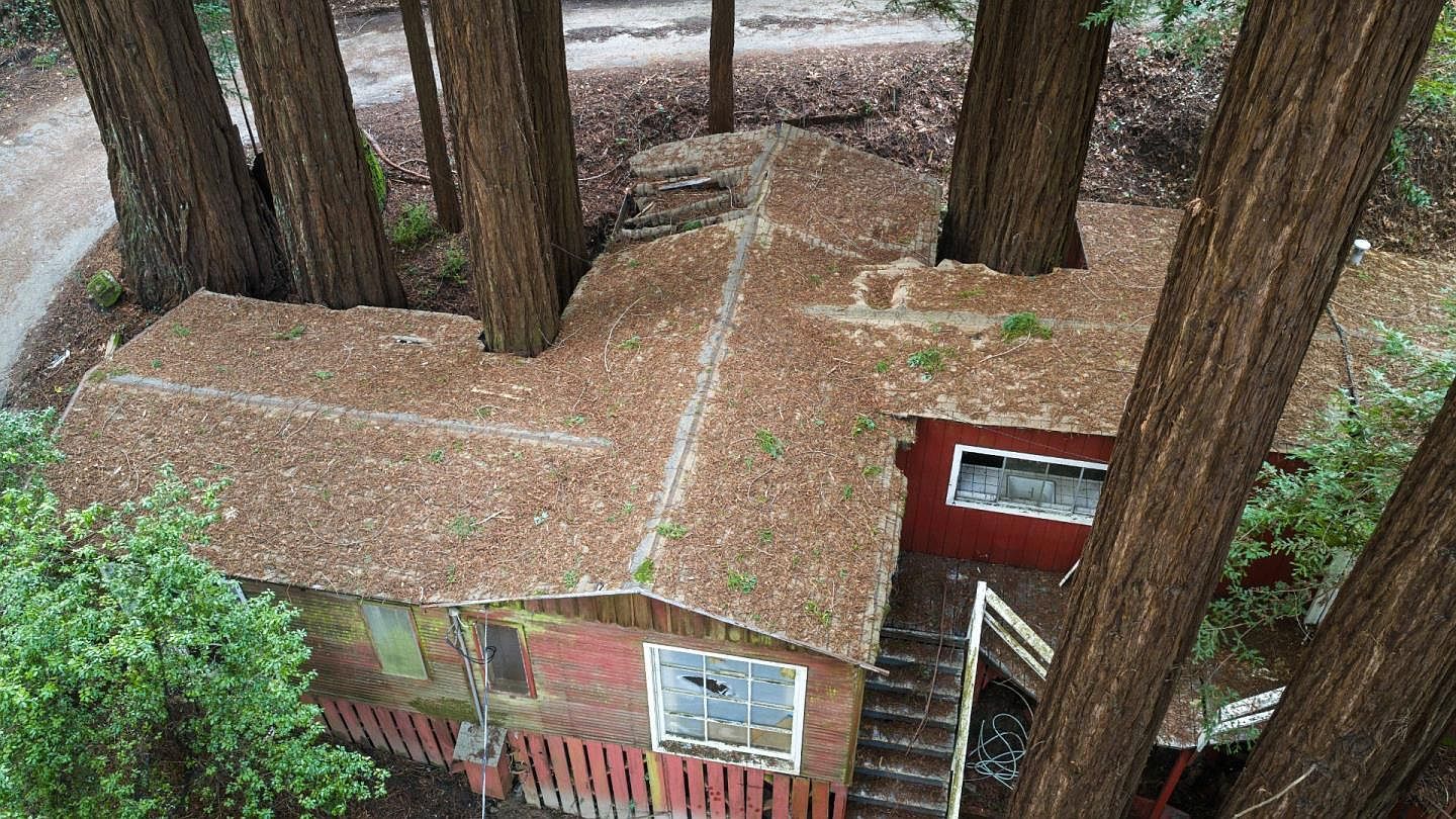 265 Fireside Rd Boulder Creek, CA 95006 - Thumbnail 5