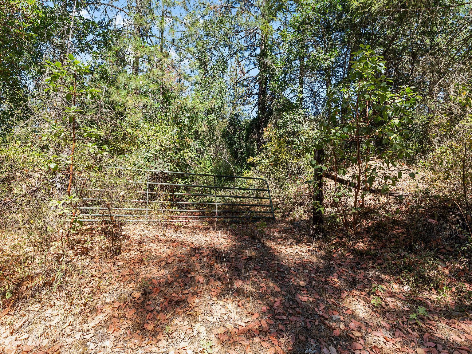 0 Hogan Rd Jacksonville, OR 97530 - Thumbnail 5