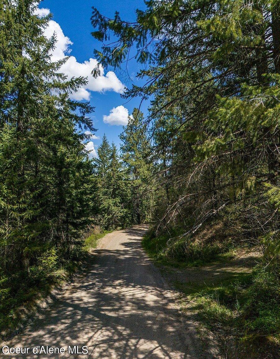 Nna N Corbin Hill Rd Athol, ID 83801 - Thumbnail 5