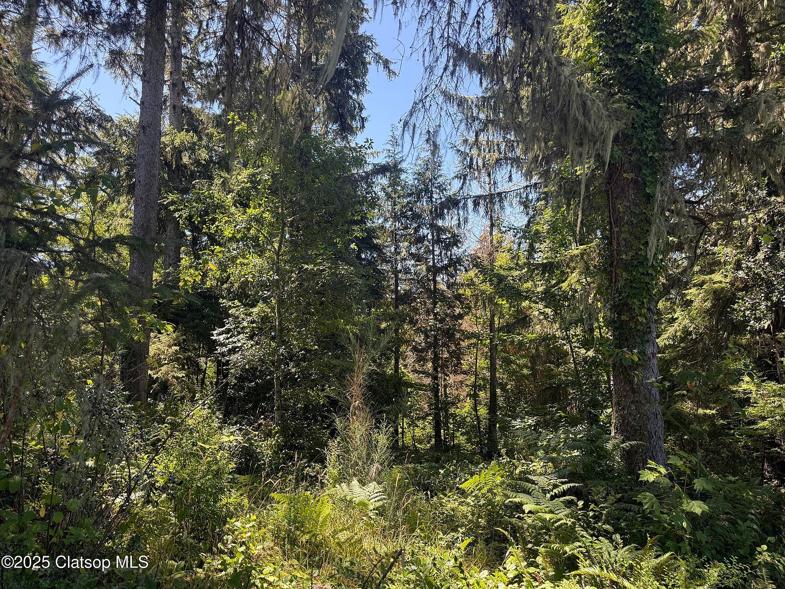 Whiskey Rd Warrenton, OR 97146  | Land/Lot