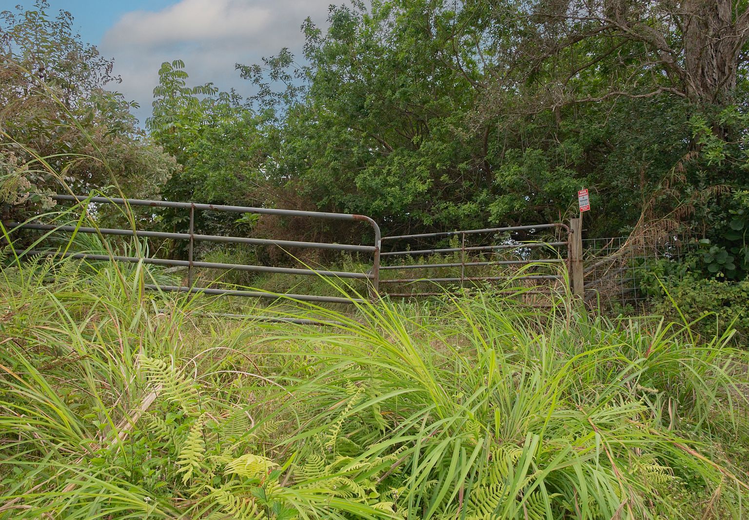 76-1302 Waiono Rnch #1 Holualoa, HI 96725 - Thumbnail 5