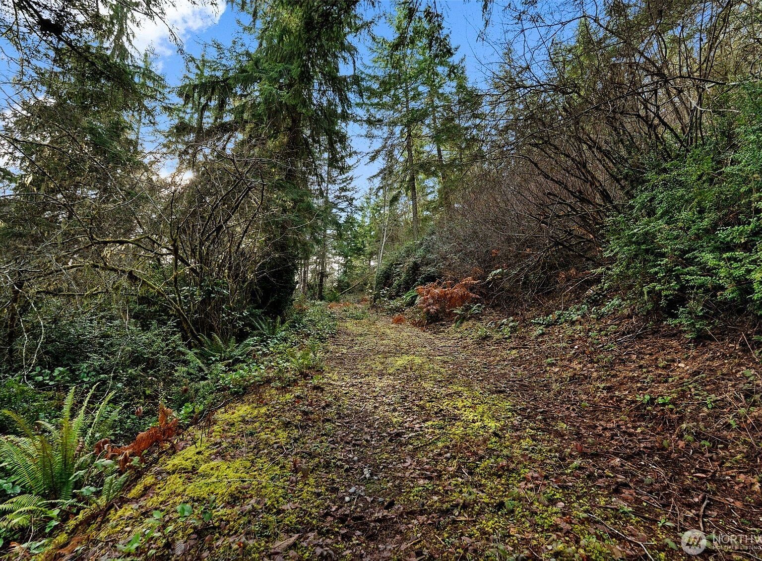 0 Willow Rd SE Pt Orchard, WA 98367 - Thumbnail 5