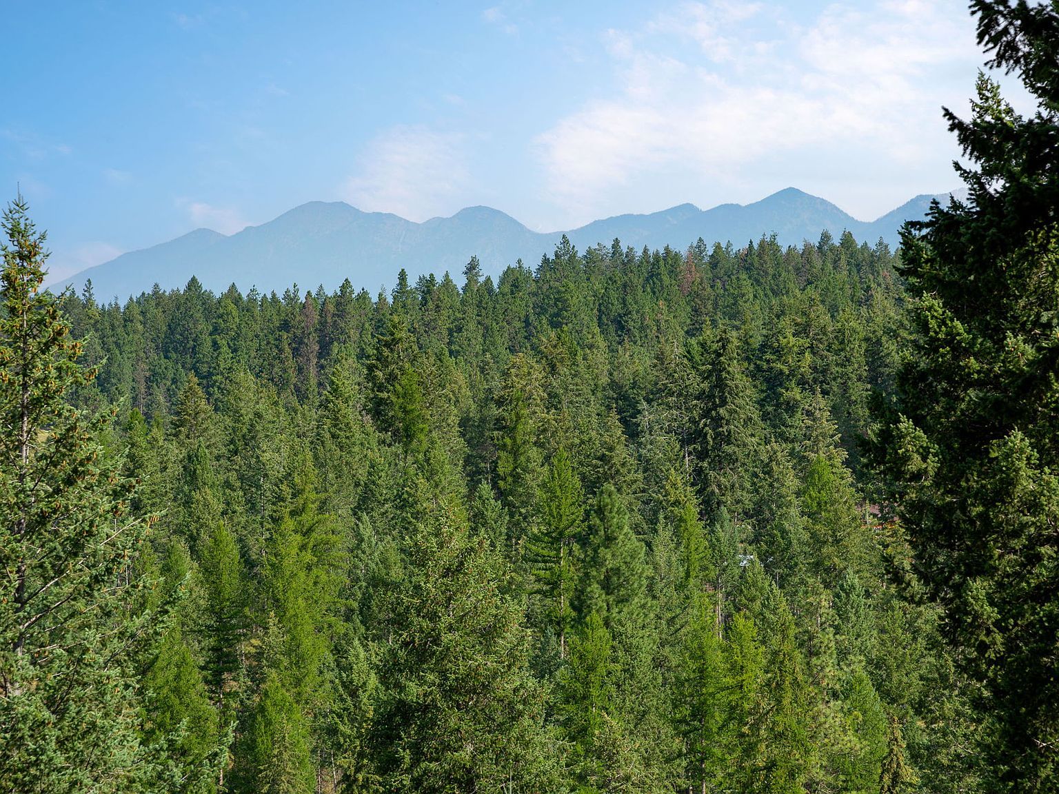 239 Stage Ridge Rd Bigfork, MT 59911 - Thumbnail 5