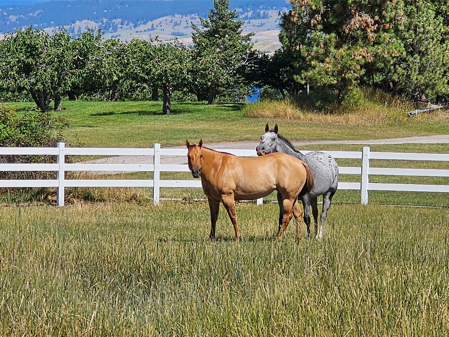 39784 Us Highway 93 Big Arm, MT 59910 - Thumbnail 5
