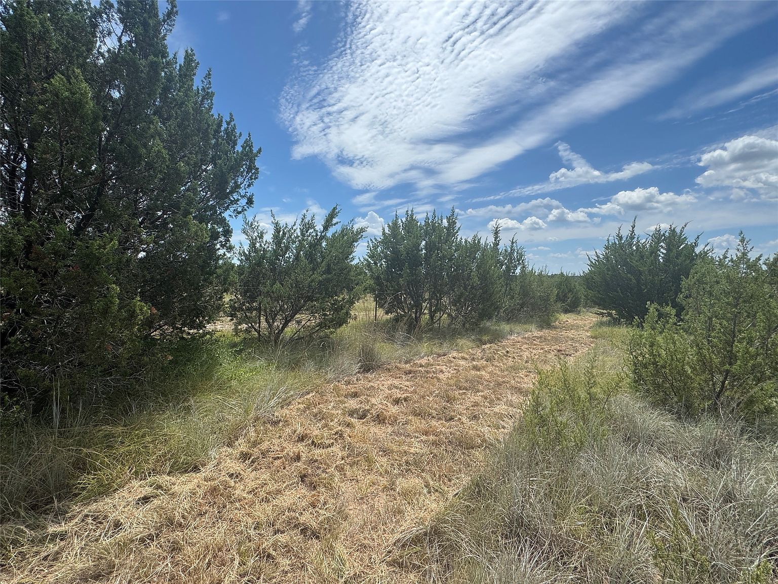 7800 Boswell Ct Lipan, TX 76462 - Thumbnail 5