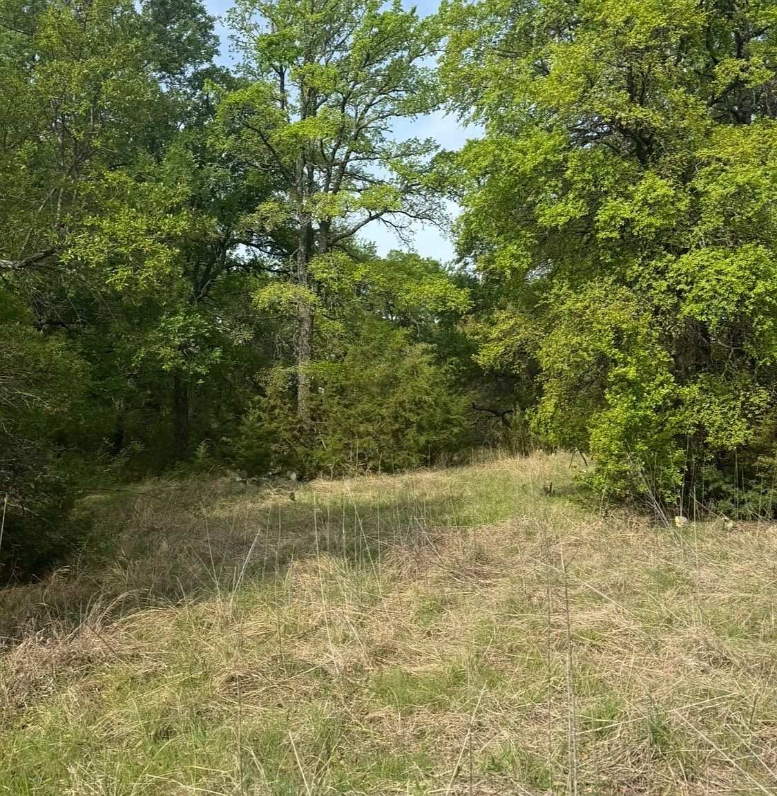 1016 Spring Ranch Dr Weatherford, TX 76088 - Thumbnail 5