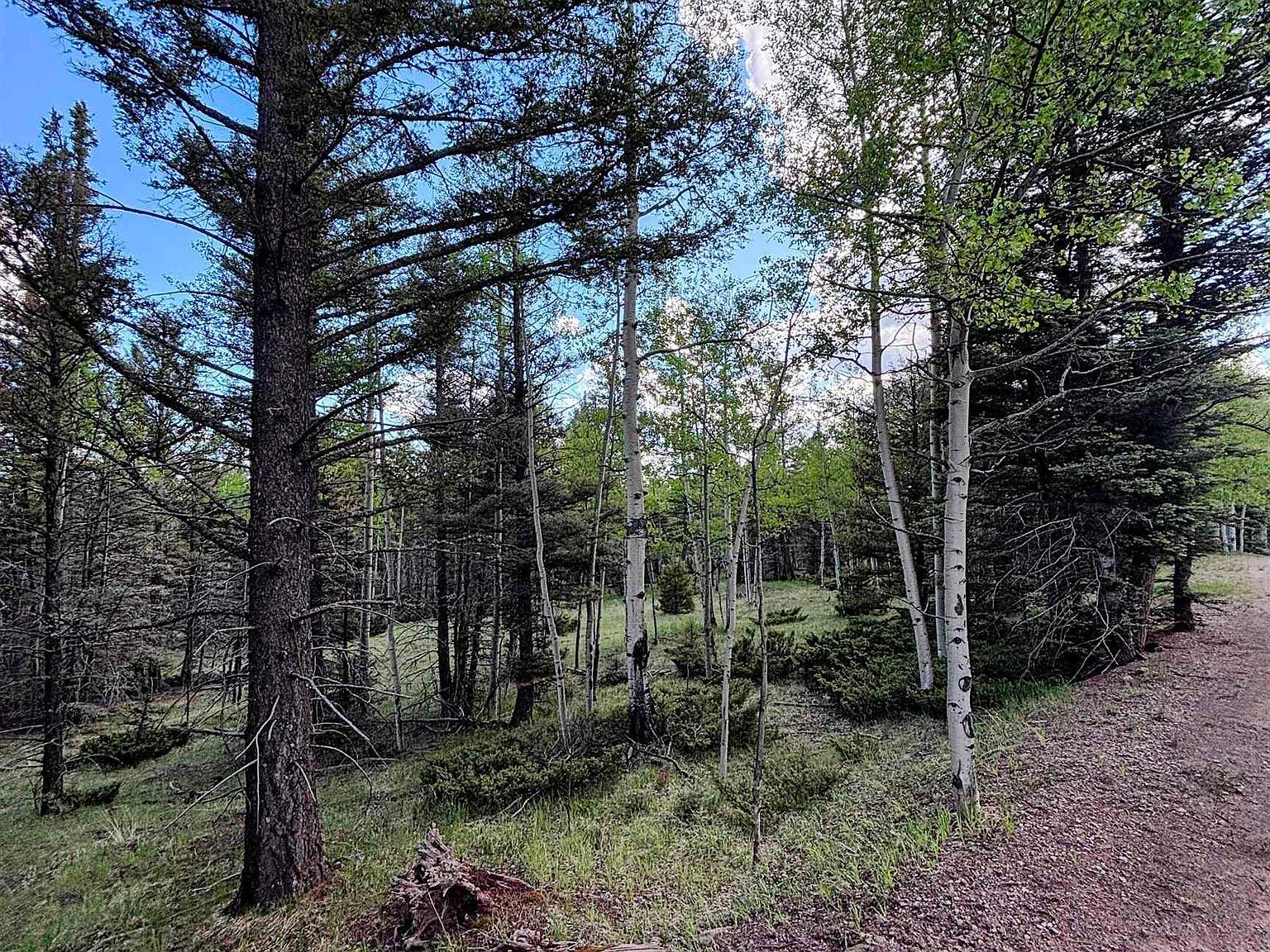 LOT 1042 Starshine Overlook Angel Fire, NM 87710 - Thumbnail 5