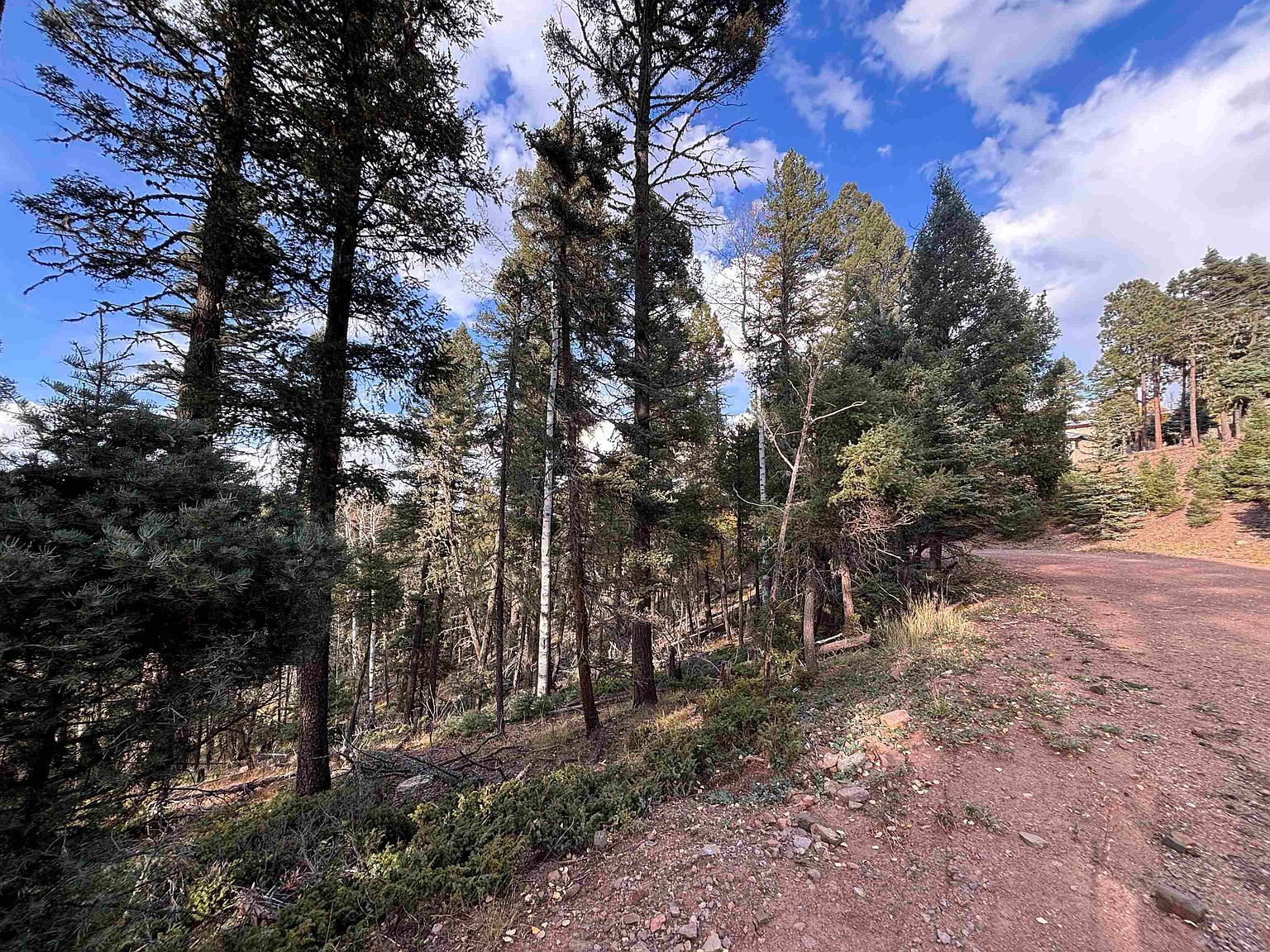 11 Lakewood Way Angel Fire, NM 87710 - Thumbnail 5