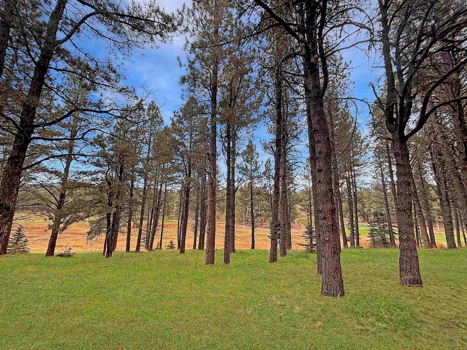 LOT 1133 Spyglass Hill Rd Angel Fire, NM 87710 - Thumbnail 5
