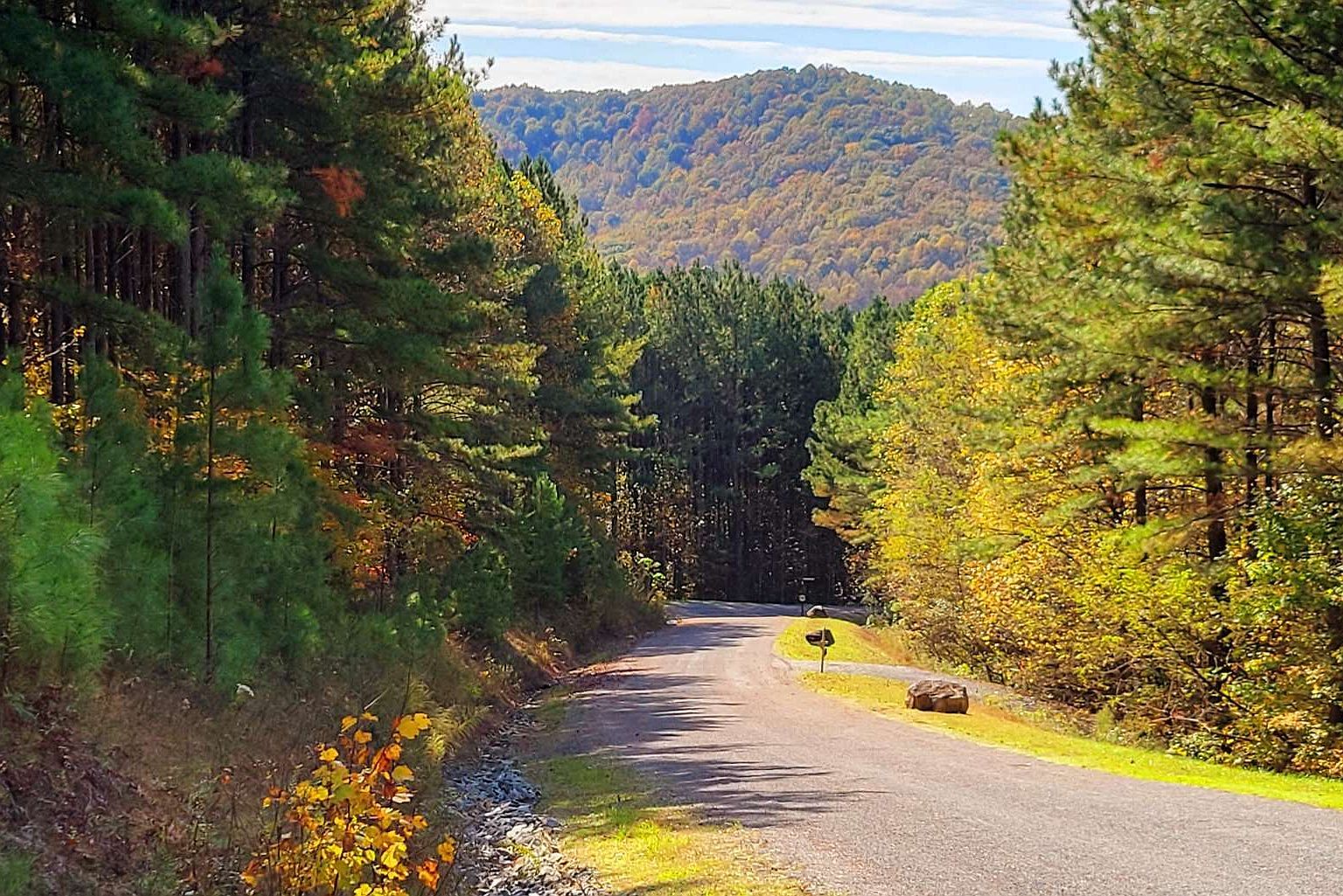 LOT 6 Black Bear Ridge Rd Ellijay, GA 30536 - Thumbnail 5