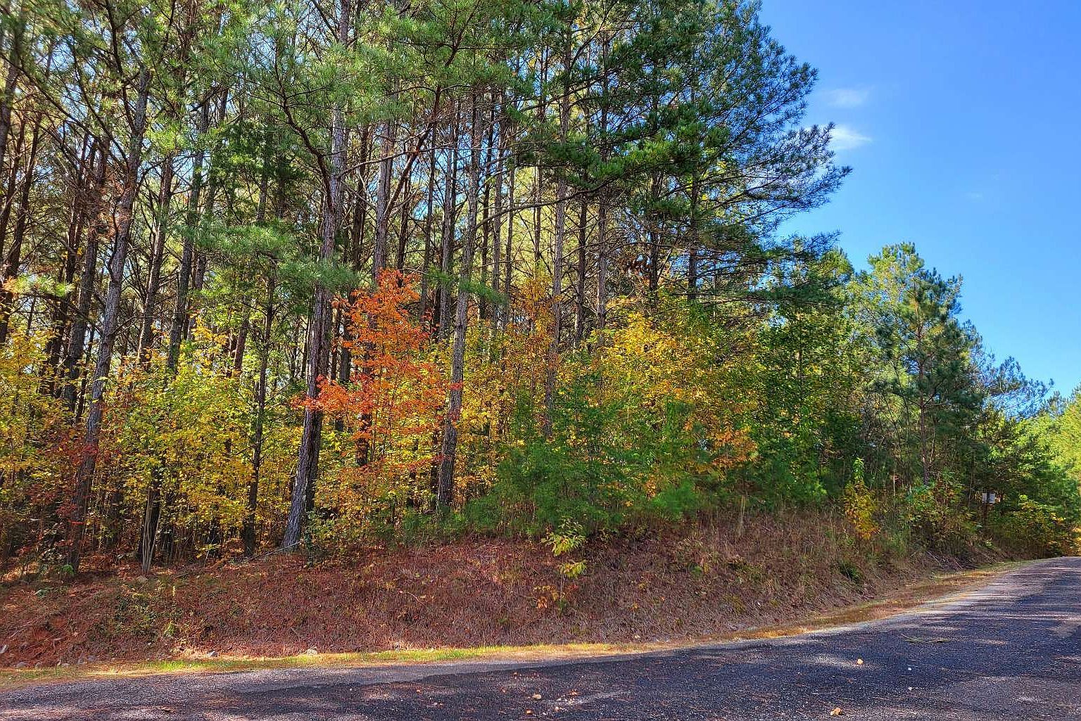 7 Ridge Top Dr Ellijay, GA 30536 - Thumbnail 5
