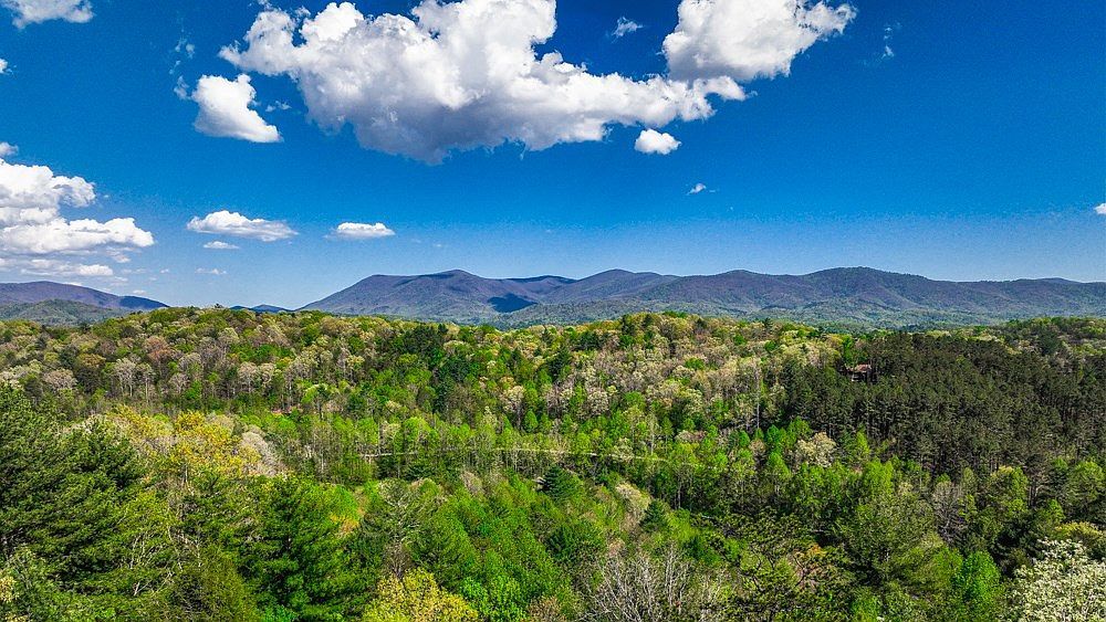 43 Dustin Dr S Ellijay, GA 30540 - Thumbnail 5