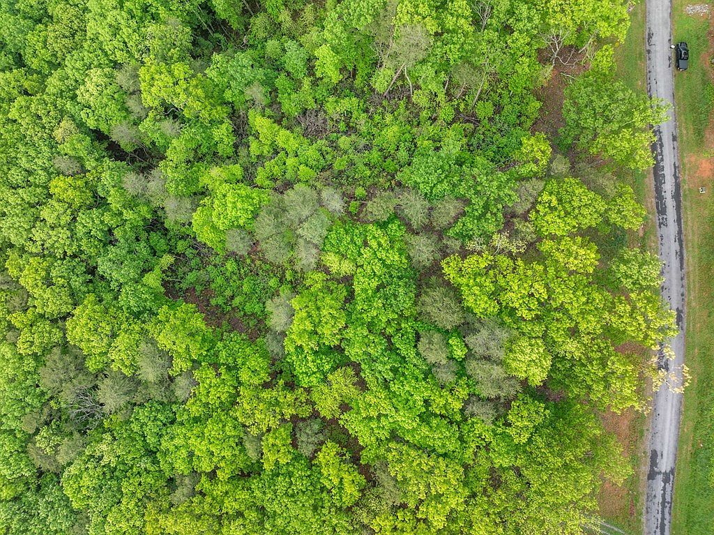 LOT 53 High Summit Dr Talking Rock, GA 30175 - Thumbnail 5