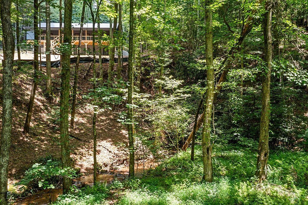 641 Bryant Farm Ln Ellijay, GA 30540 - Thumbnail 5