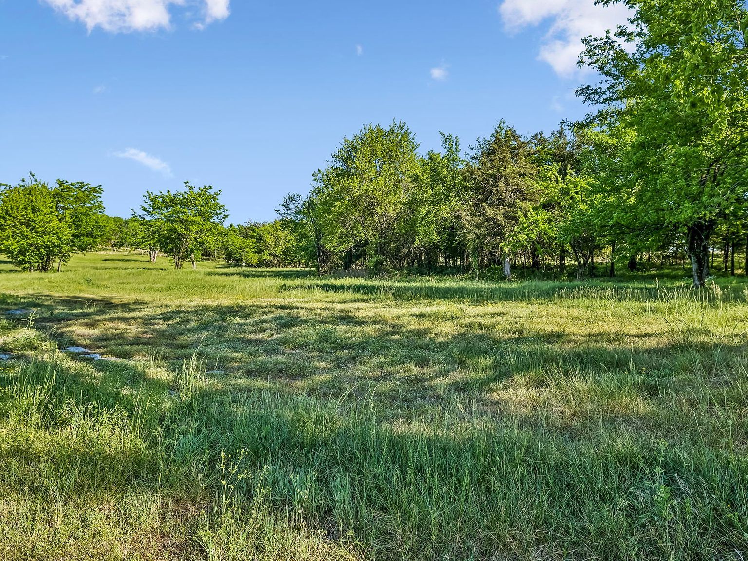 10567 Versailles Rd Rockvale, TN 37153 - Thumbnail 5